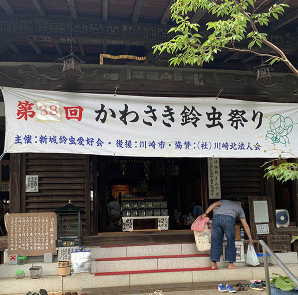 かわさき鈴虫祭り